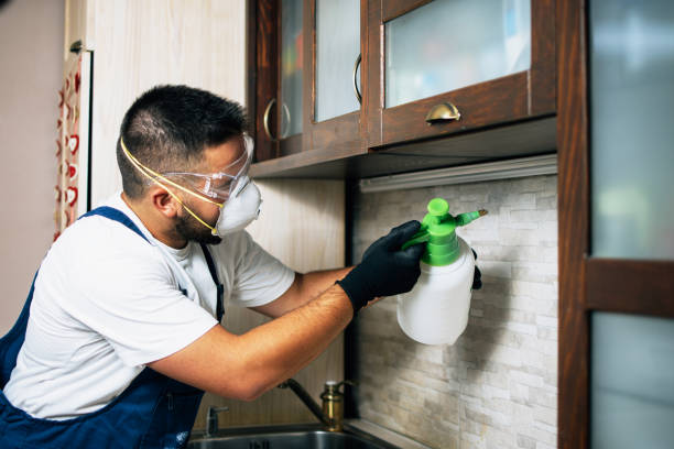 Best Pest Control Treatment  in Indianola, MS