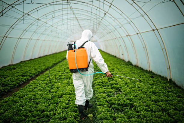 Best Best Pest Control Companies  in Indianola, MS