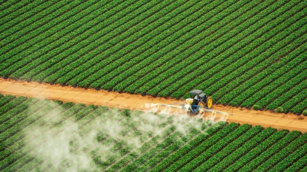 Professional Pest Control in Indianola, MS