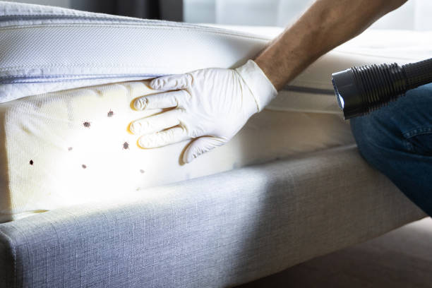 Best Cockroach Control Services  in Indianola, MS