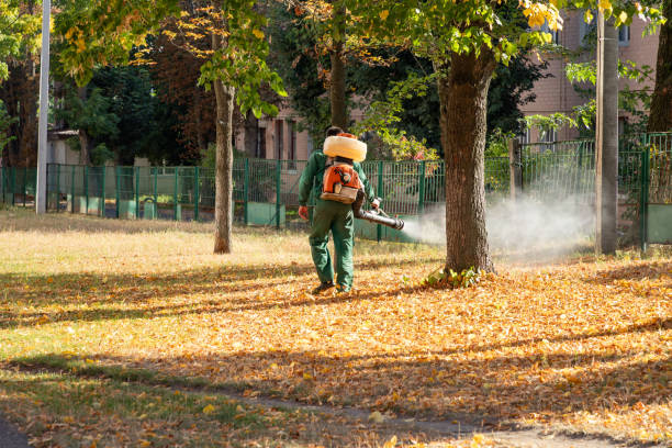 Best Pest Control Near Me in Indianola, MS
