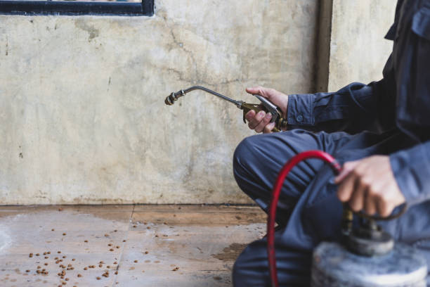 Best Mosquito Control Services  in Indianola, MS